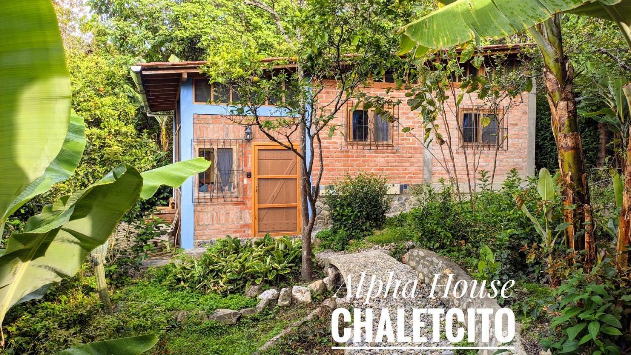 Ferienwohnung Alpha House Vilcabamba Exterior foto